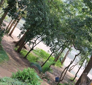 dandeliadventurebooking.com place picture